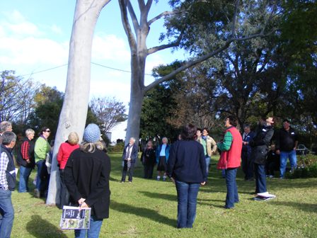 Field day attendees admire Trevor and Gerardine Hill's gums