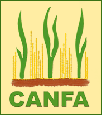 CANFA