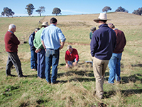 Graeme Hand native pastures field day