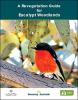 A Revegetation Guide for Eucalypt Woodlands